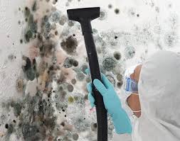 Best Industrial Mold Remediation  in Mulgee, OK